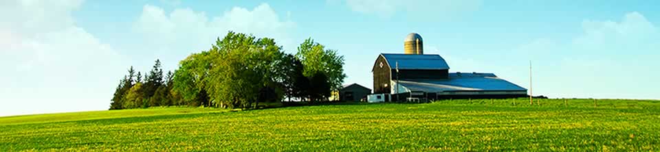 Audubon County Iowa