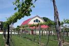 Danish Countryside Vines and Wines